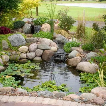 Garden Ponds